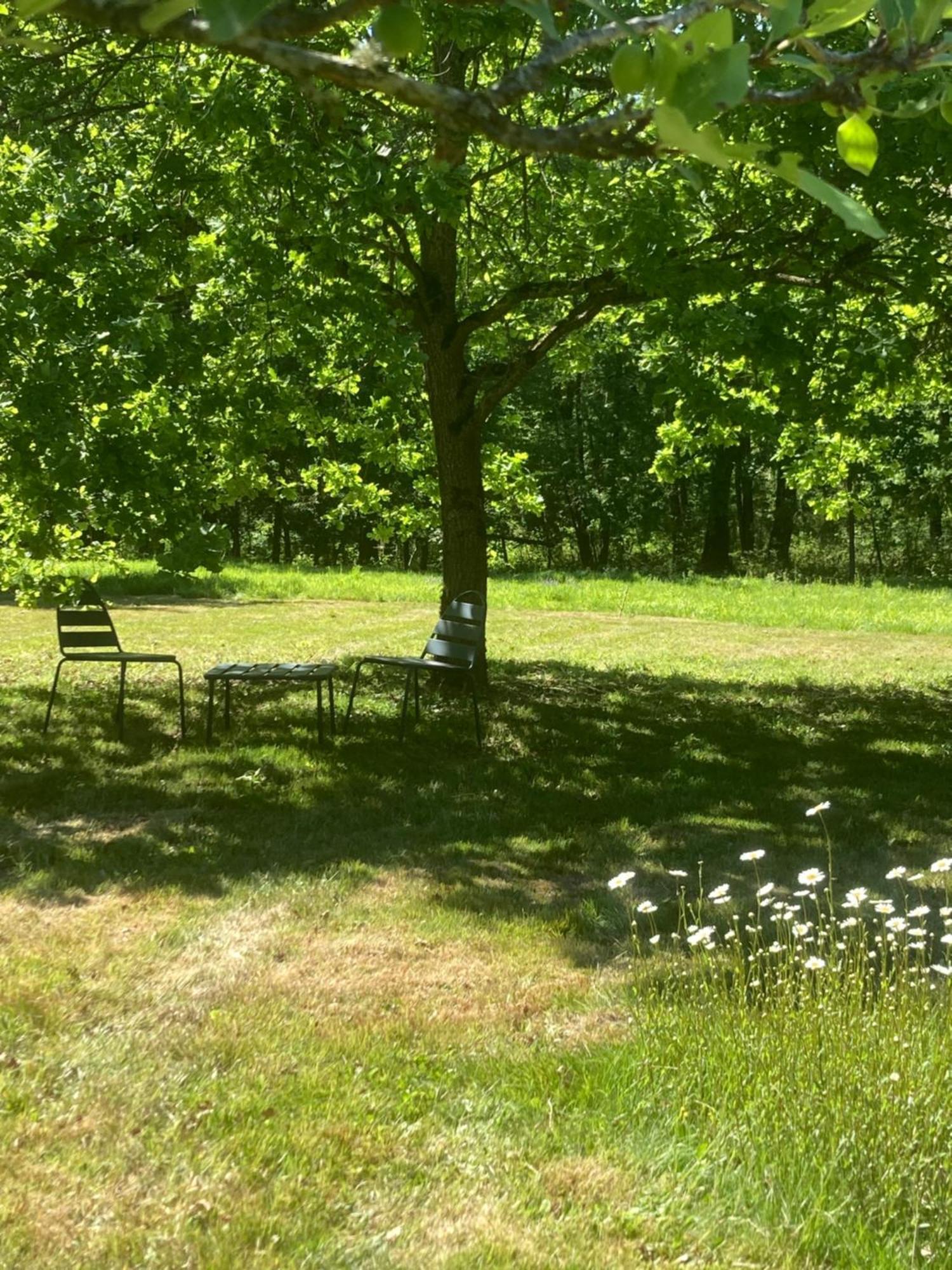 Les Bois De Ravel Chambres D'Hotes Esterno foto